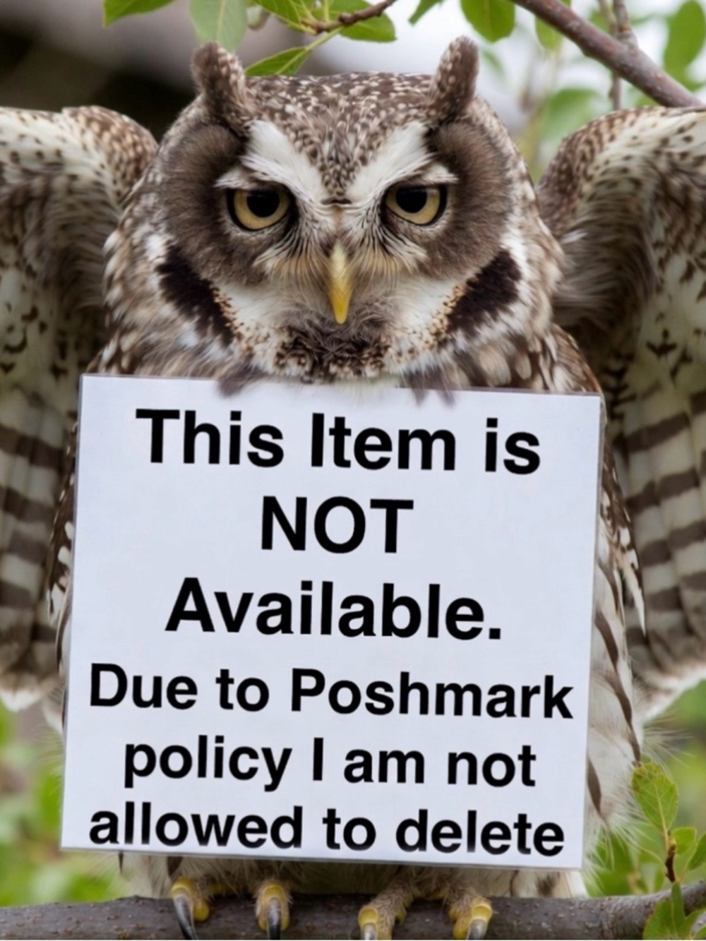 NOT AVAILABLE - Picture 1 of 1